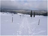 Planina Zajavornik